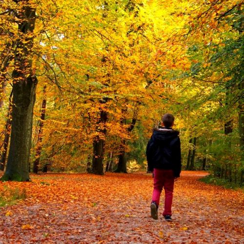 5 autumn rituals to get in tune with the season