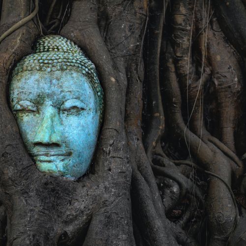Buddhism: definition and principles