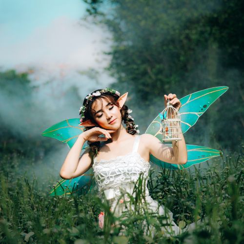 Famous Fairies and their Origins.