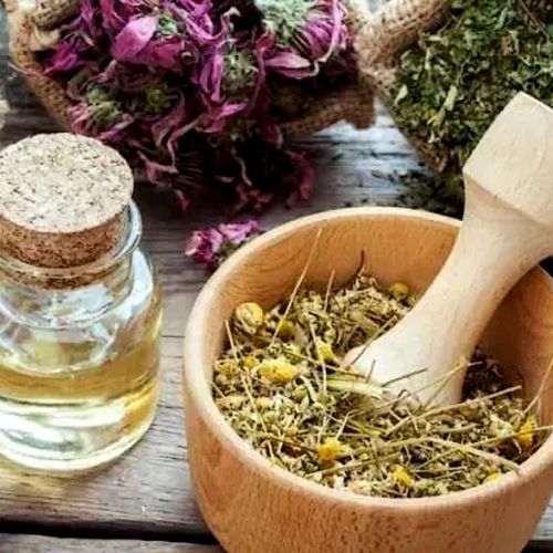 How to choose the right naturopath?