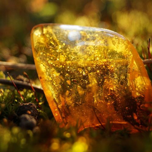 Magic: 5 fabulous powers of amber